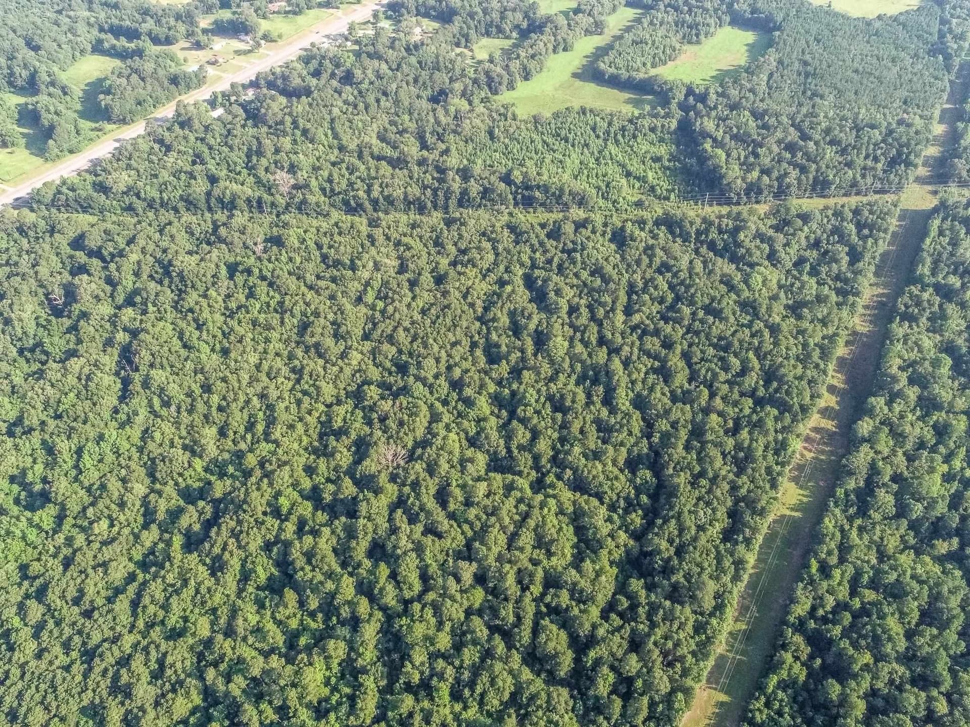 177.91 acres in Upshur County - photo 14