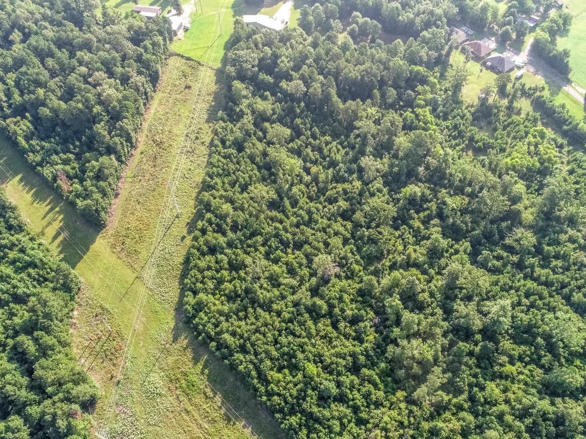 177.91 acres in Upshur County - photo 21