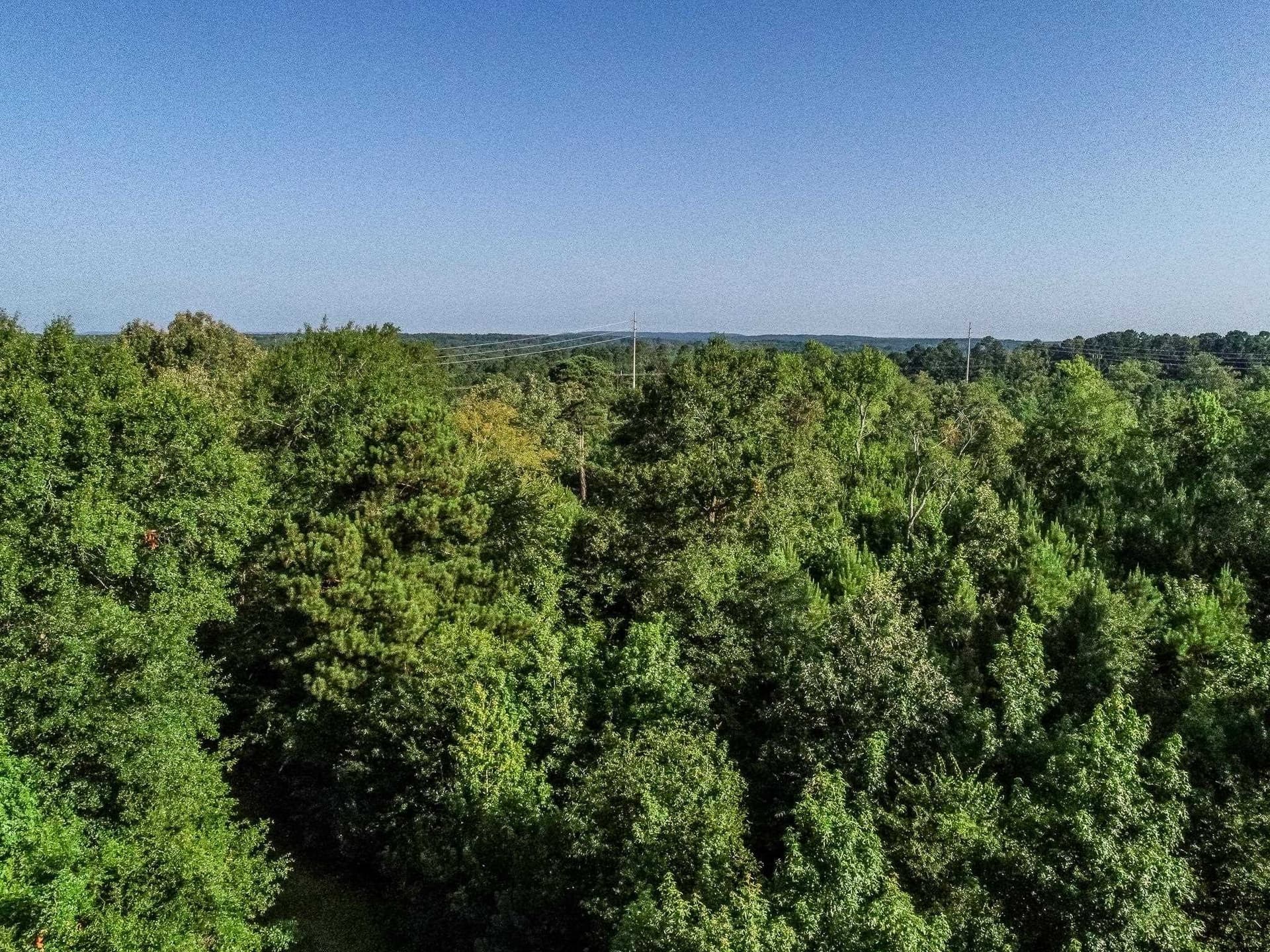 177.91 acres in Upshur County - photo 23