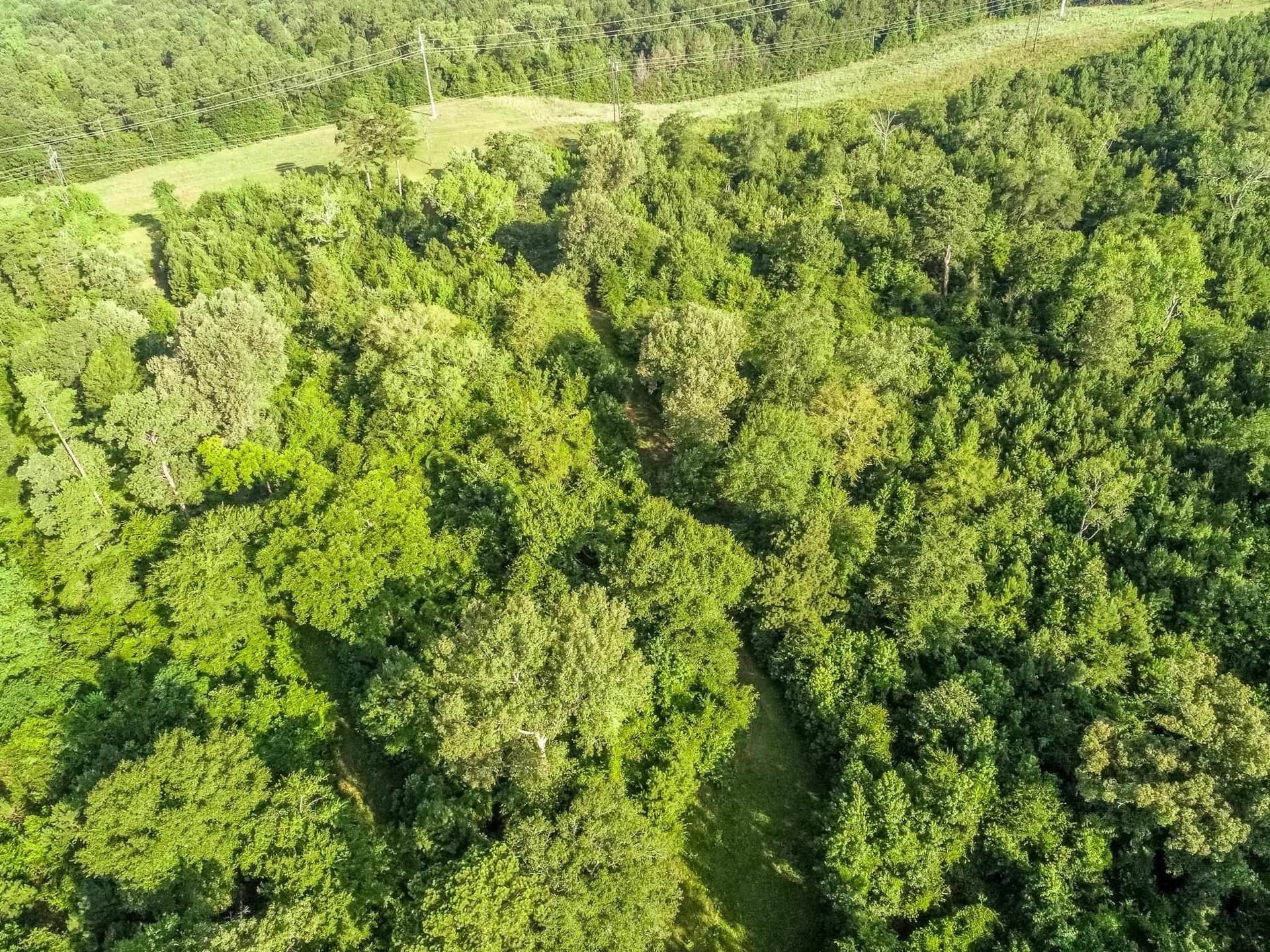 177.91 acres in Upshur County featured view