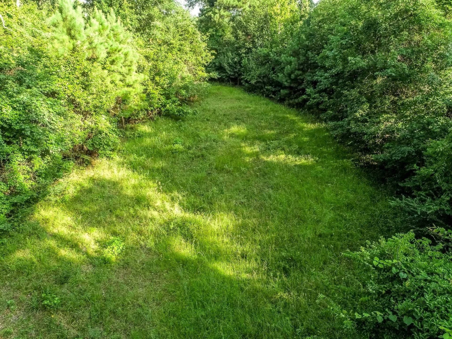 177.91 acres in Upshur County gallery image 3