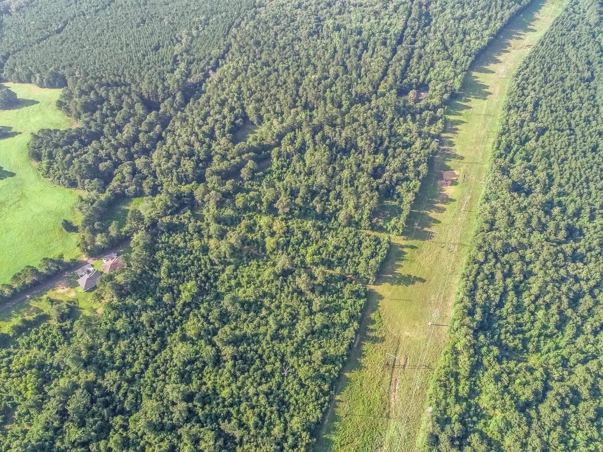 177.91 acres in Upshur County - photo 16