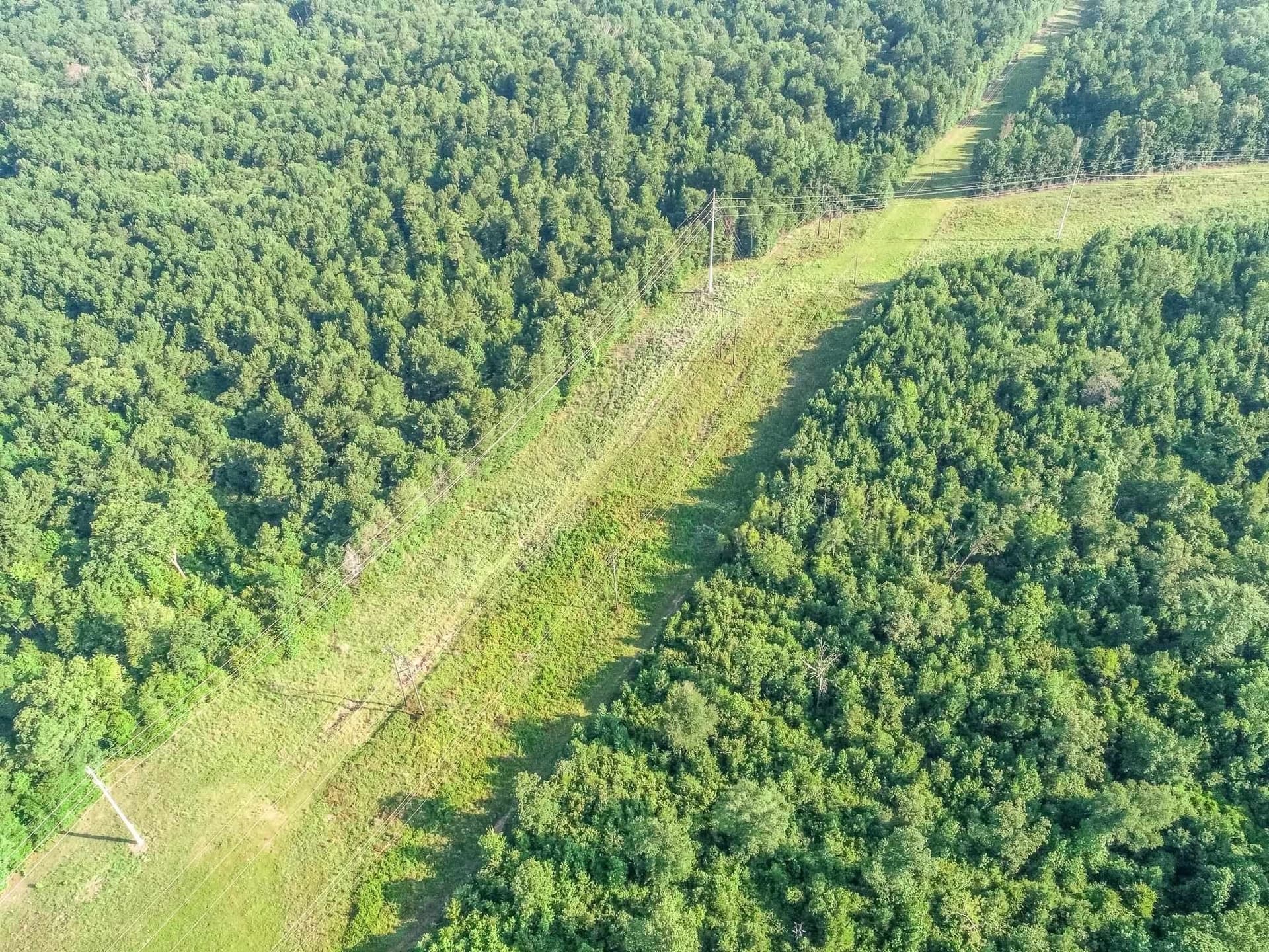 177.91 acres in Upshur County - photo 6