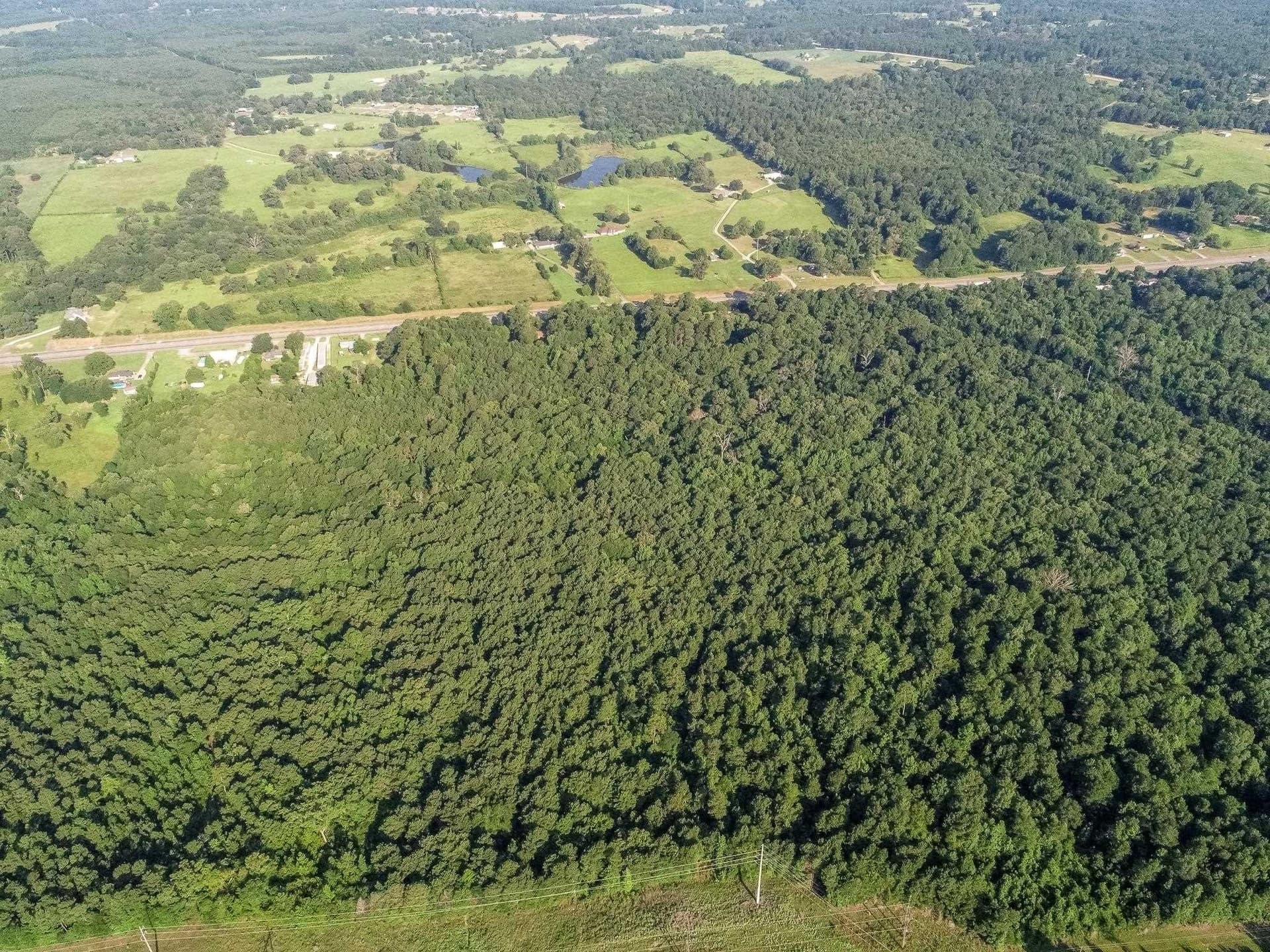 177.91 acres in Upshur County - photo 11