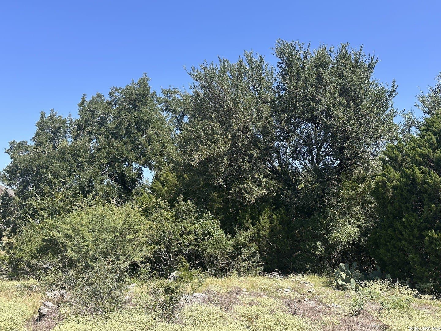 1.17 acres in Comal County featured view