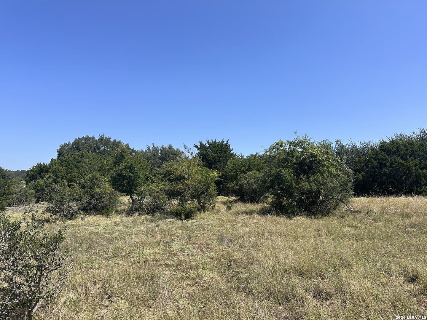 1.17 acres in Comal County gallery image 4