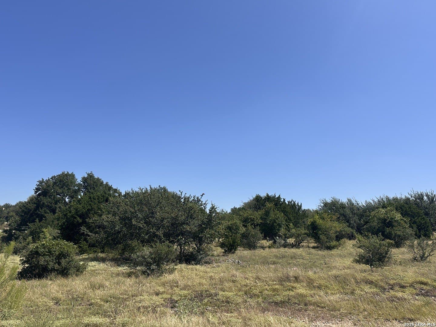 1.17 acres in Comal County gallery image 3