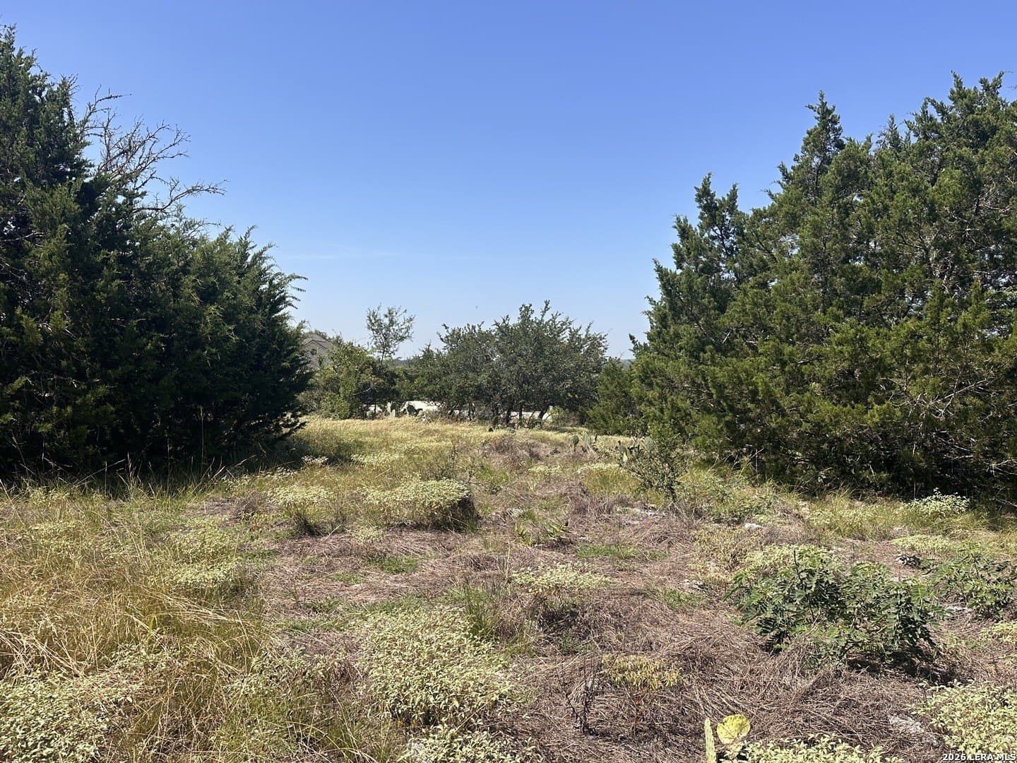 1.17 acres in Comal County - photo 8