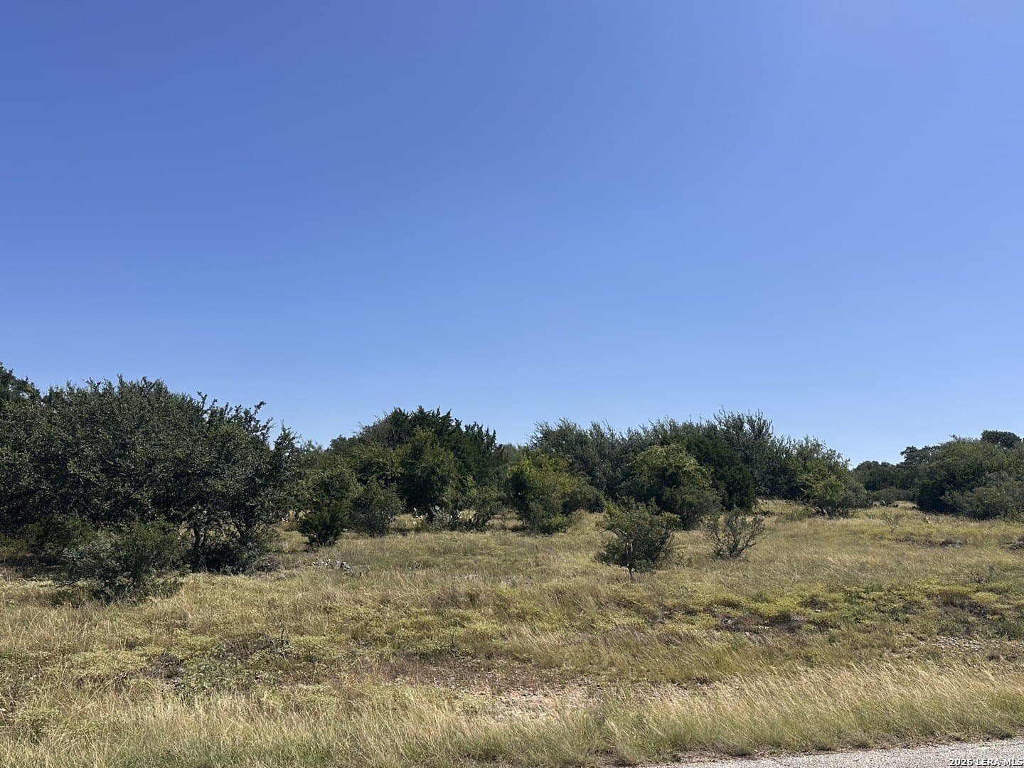 1.17 acres in Comal County gallery image 2