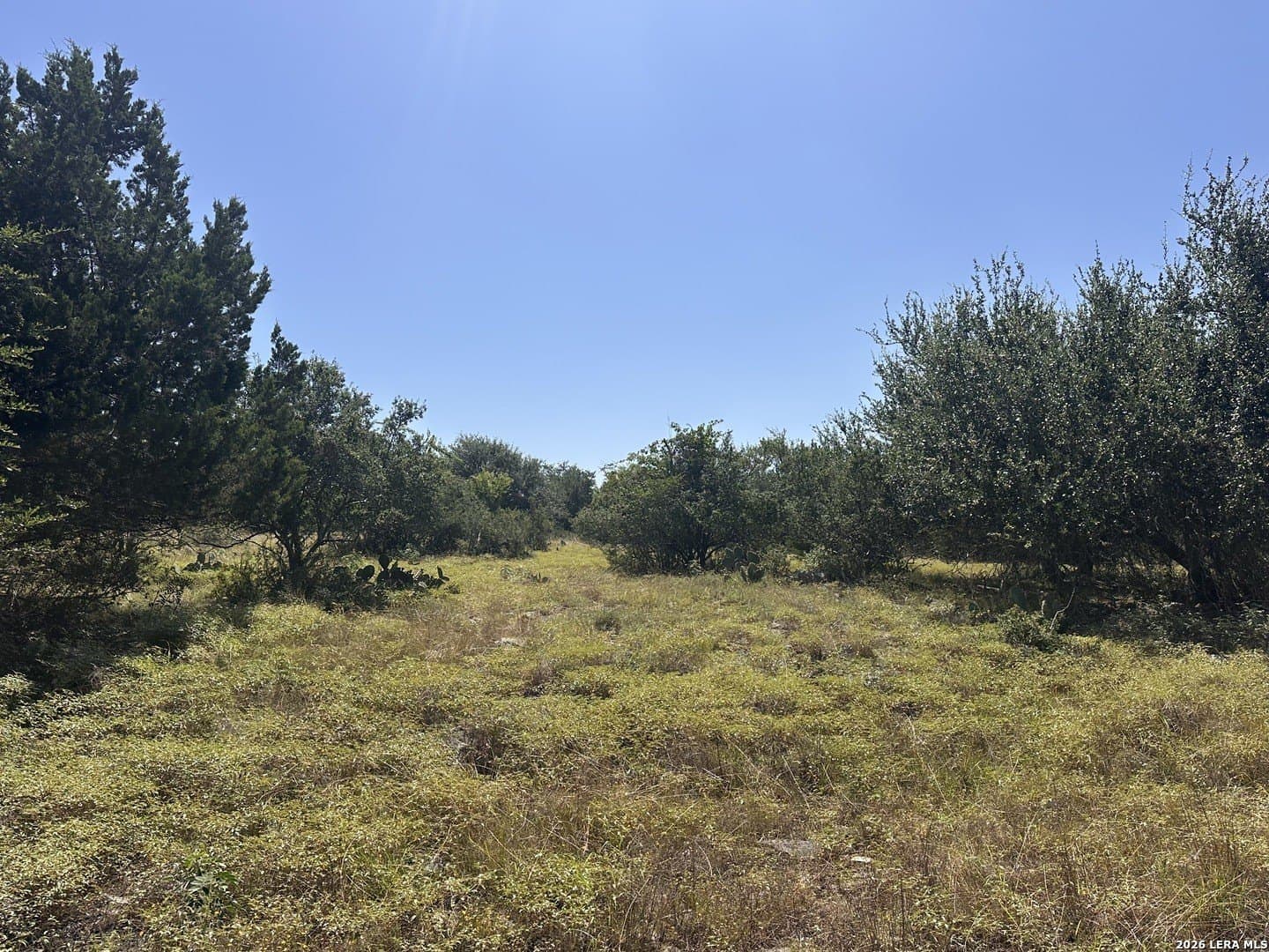 1.17 acres in Comal County - photo 7