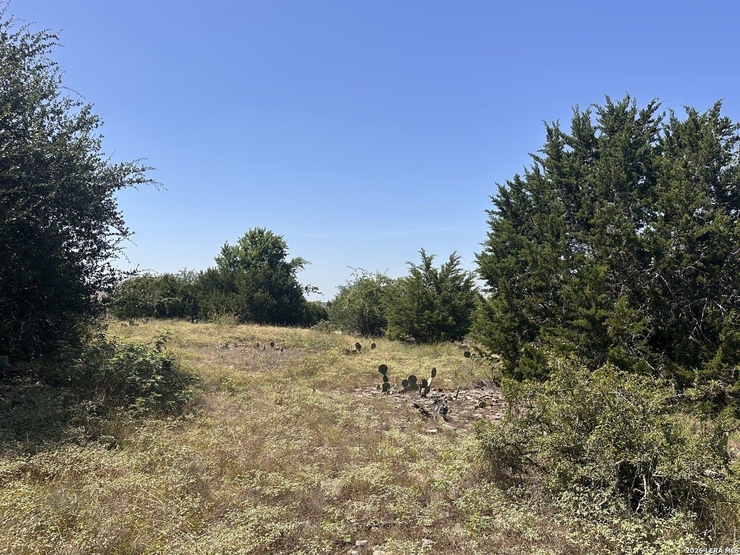 1.17 acres in Comal County - photo 6