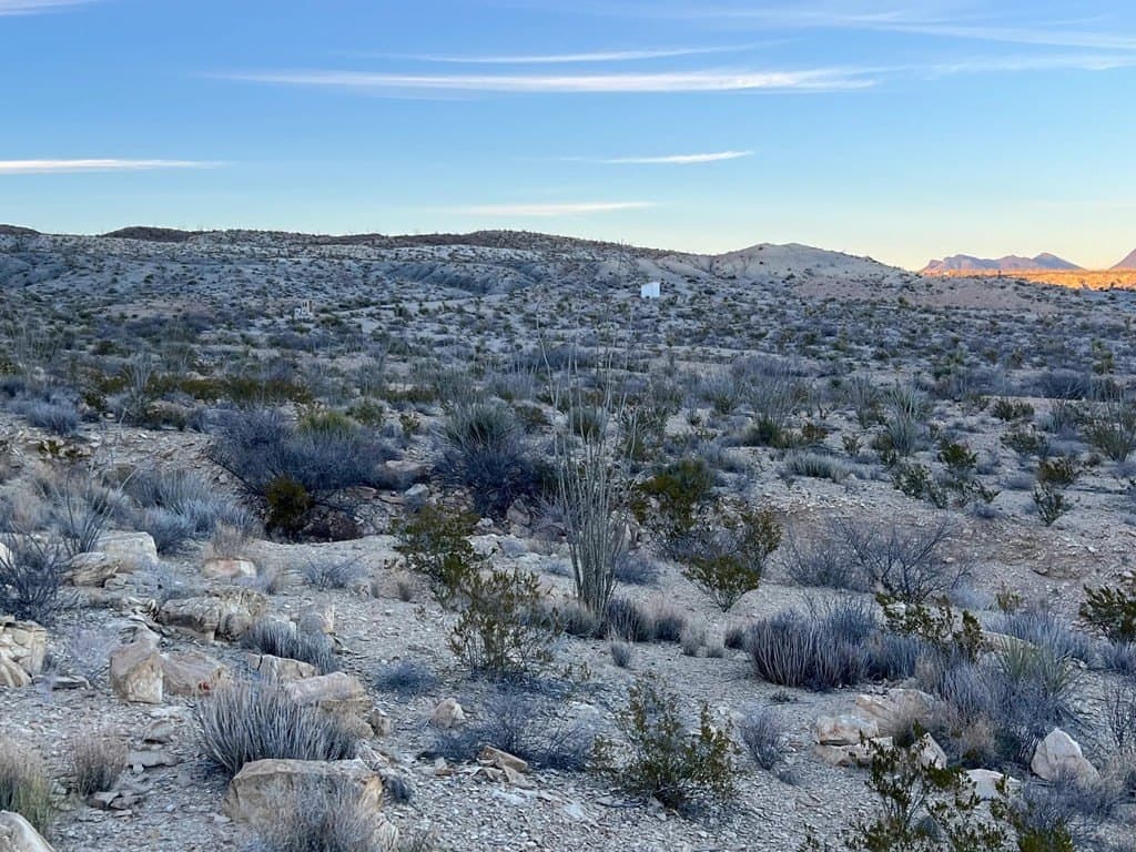 20 acres in Brewster County gallery image 4