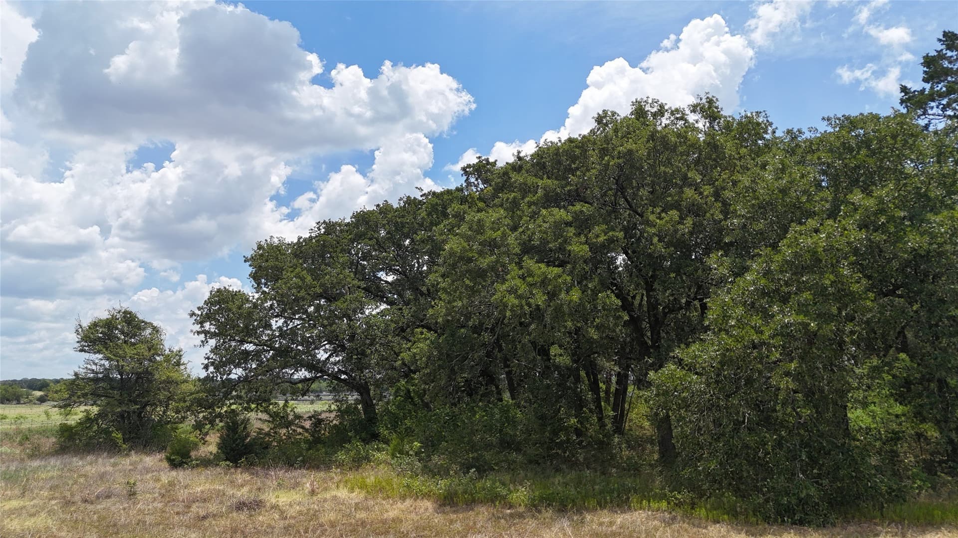 6.25 acres in Navarro County - photo 21
