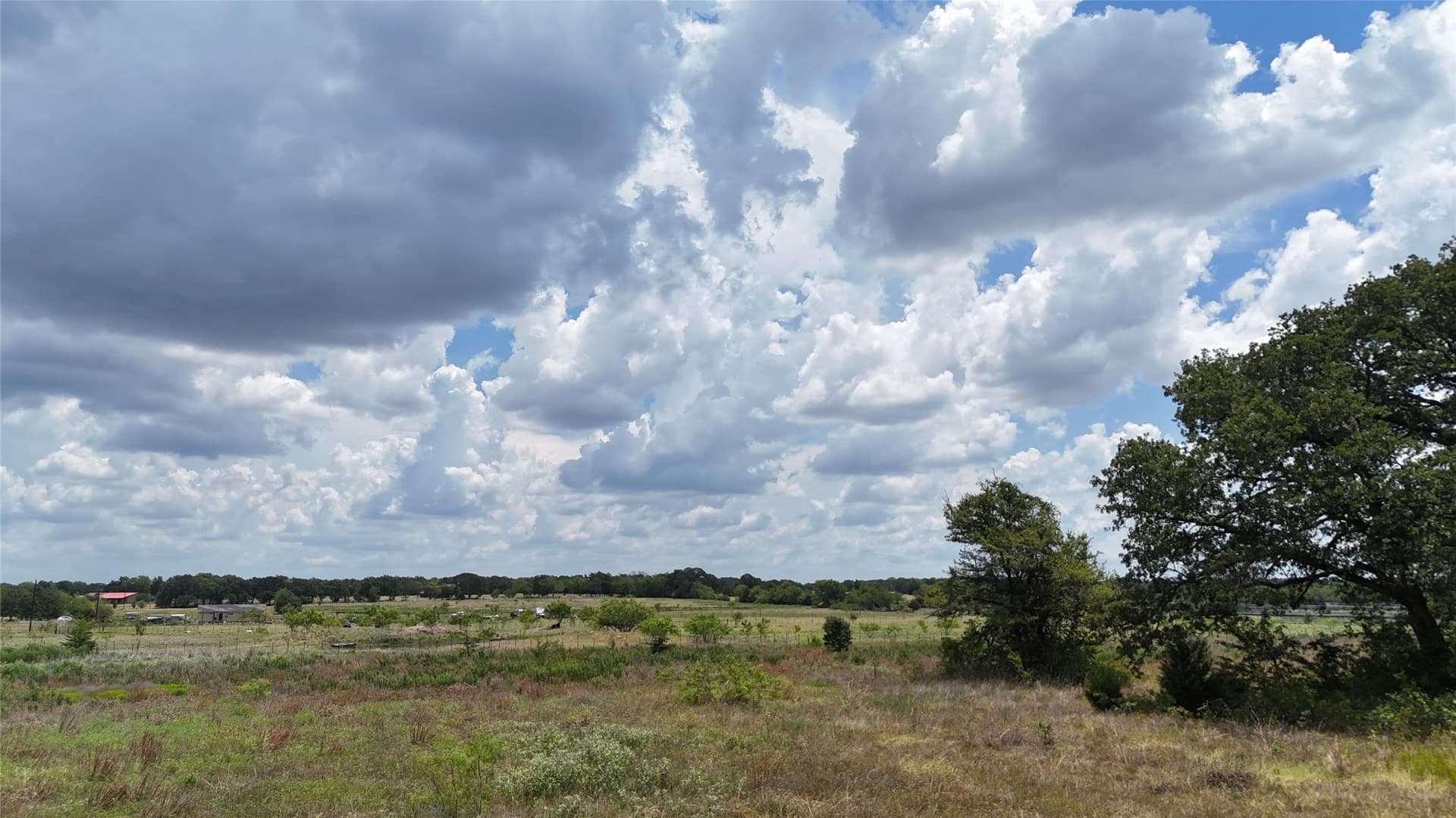 6.25 acres in Navarro County - photo 30