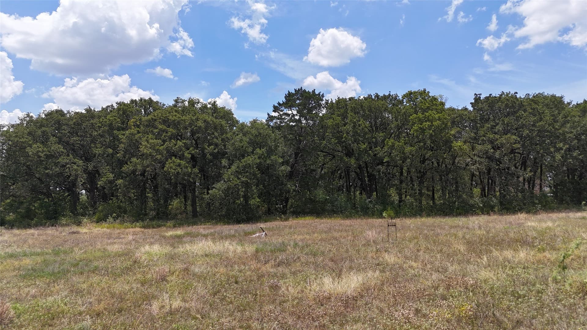 6.25 acres in Navarro County - photo 23