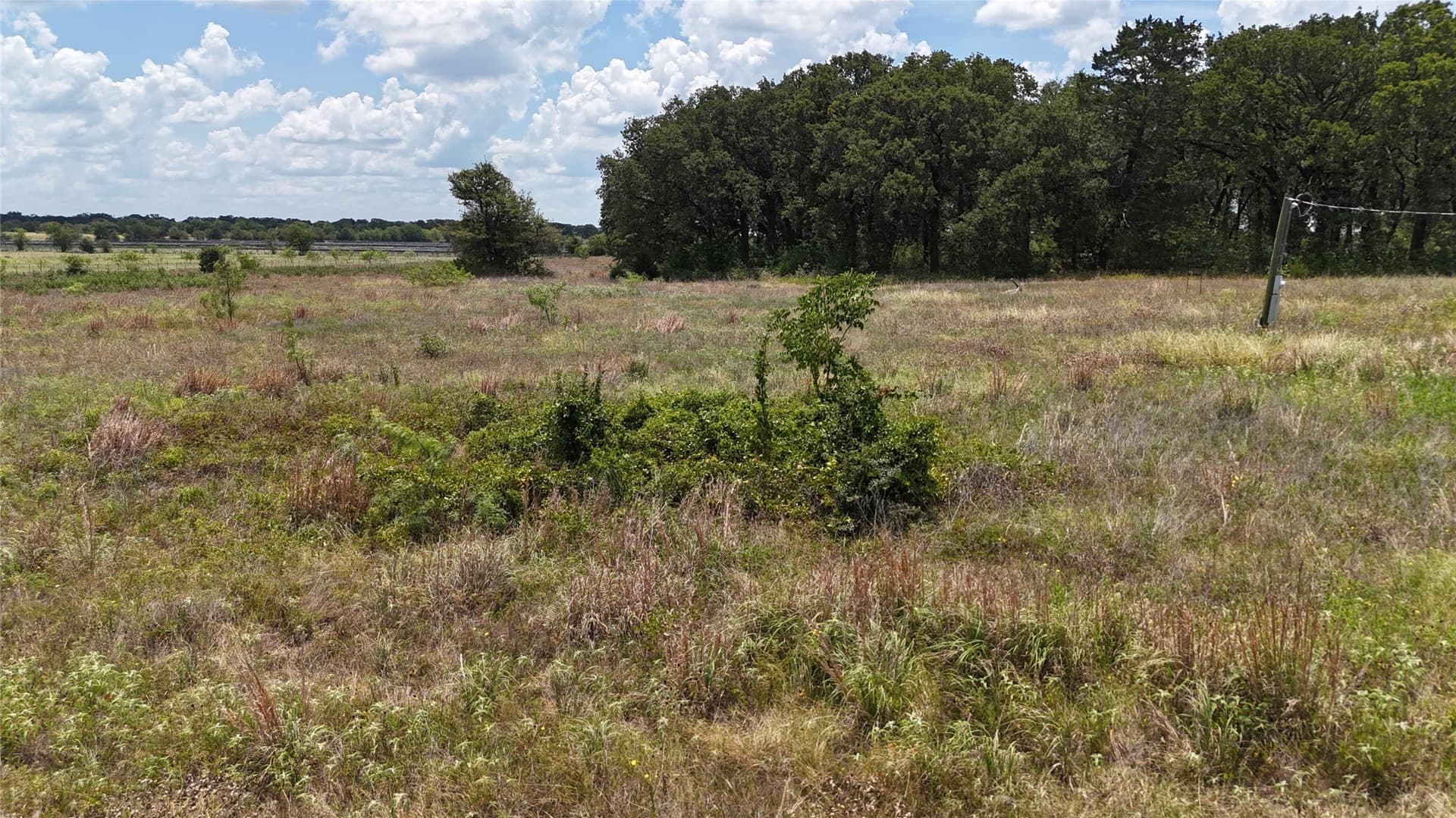 6.25 acres in Navarro County - photo 7