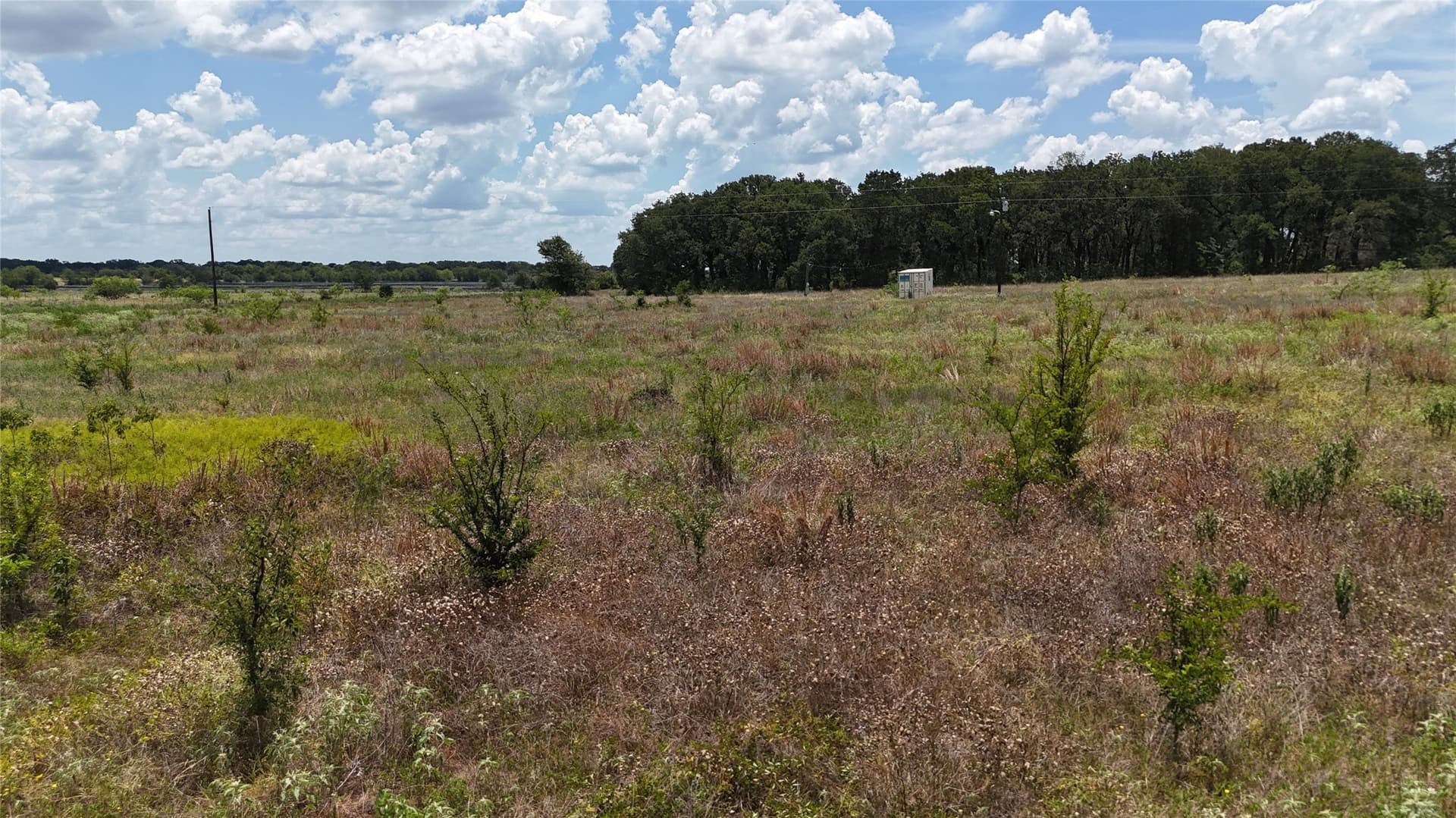 6.25 acres in Navarro County - photo 8