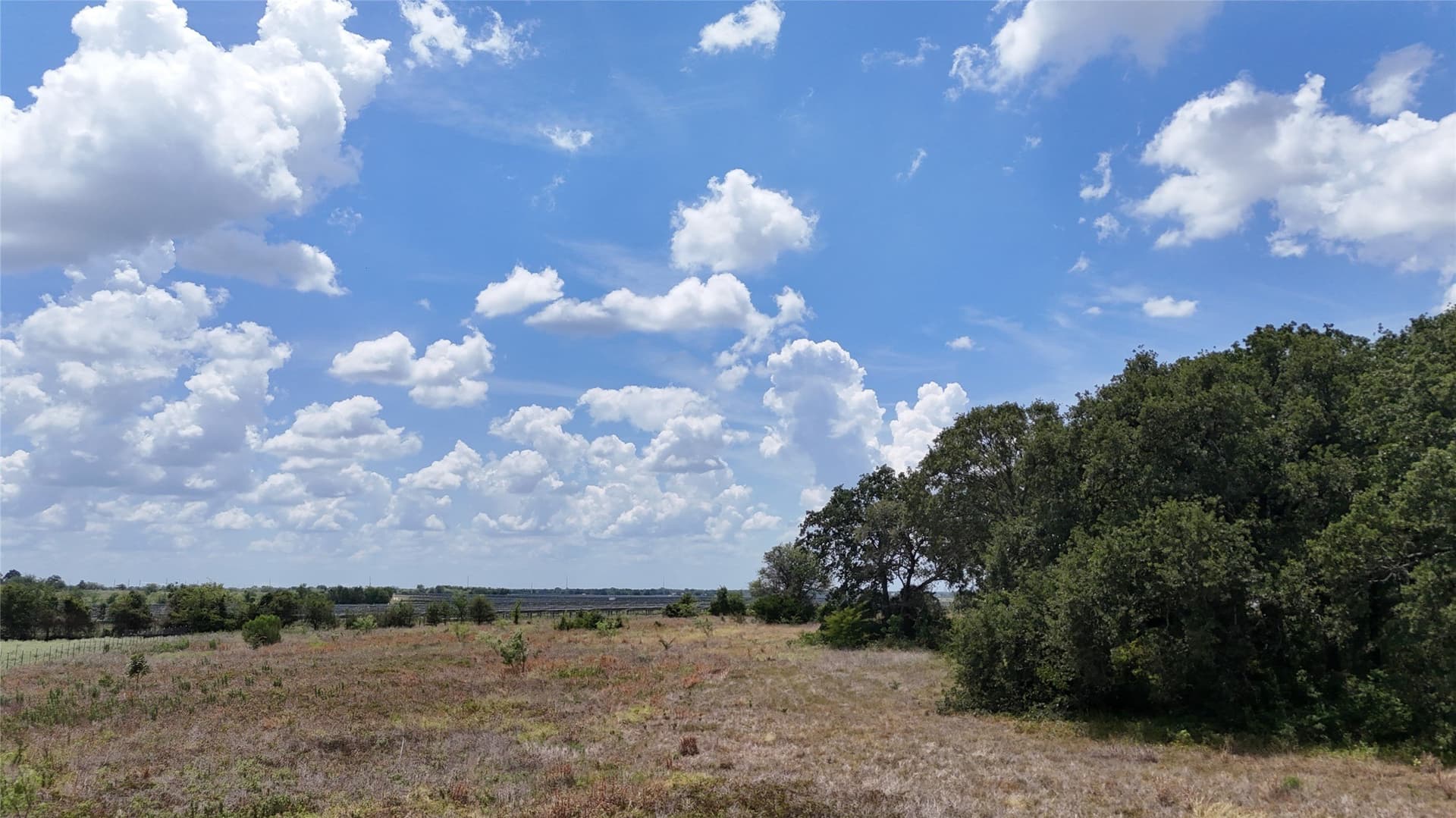 6.25 acres in Navarro County gallery image 2
