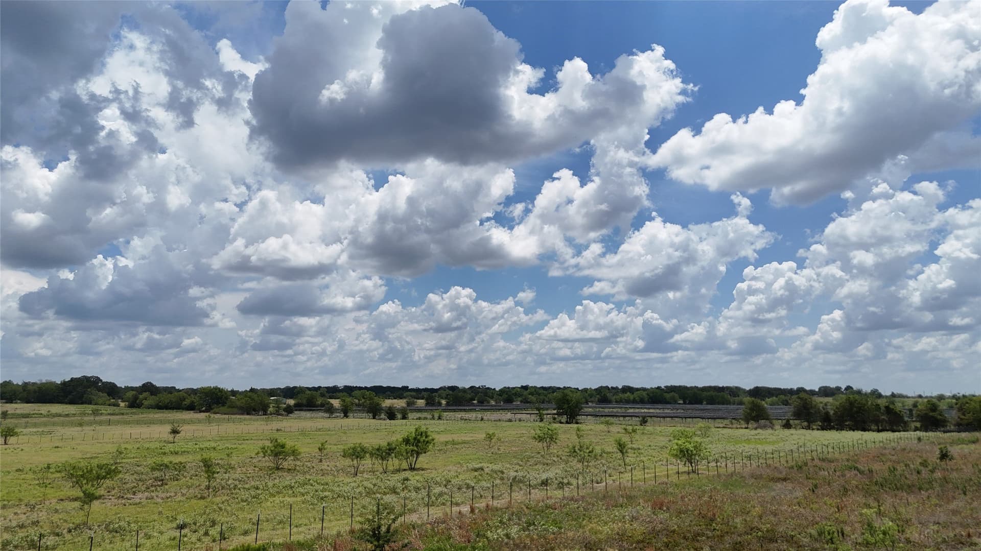 6.25 acres in Navarro County - photo 24