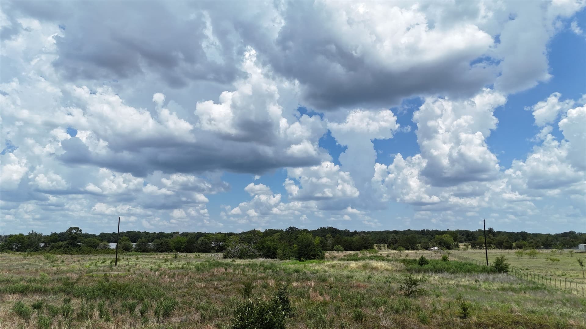 6.25 acres in Navarro County - photo 10