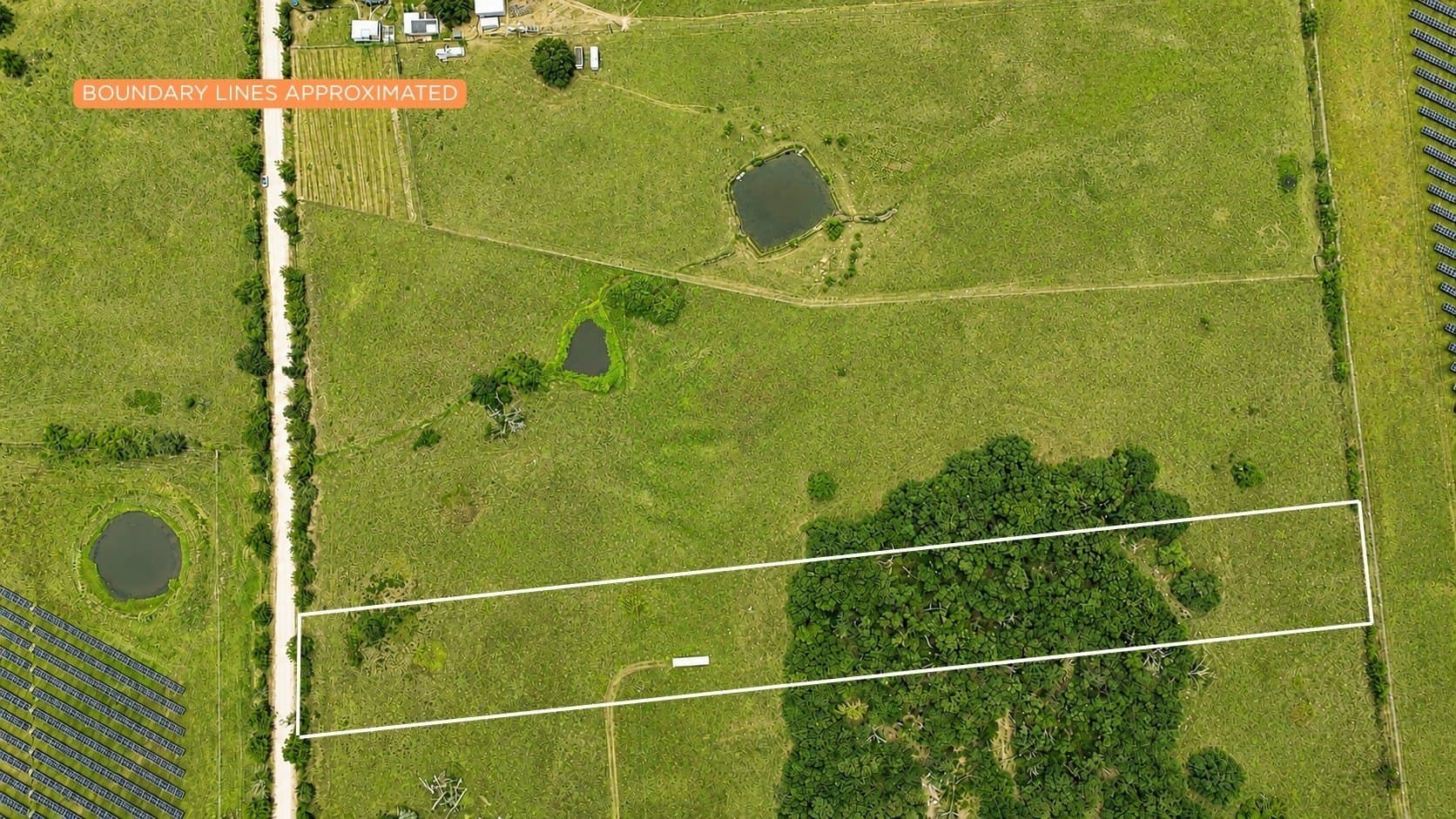 6.25 acres in Navarro County gallery image 3
