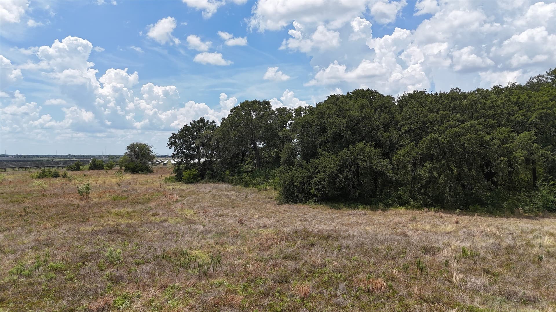 6.25 acres in Navarro County - photo 12