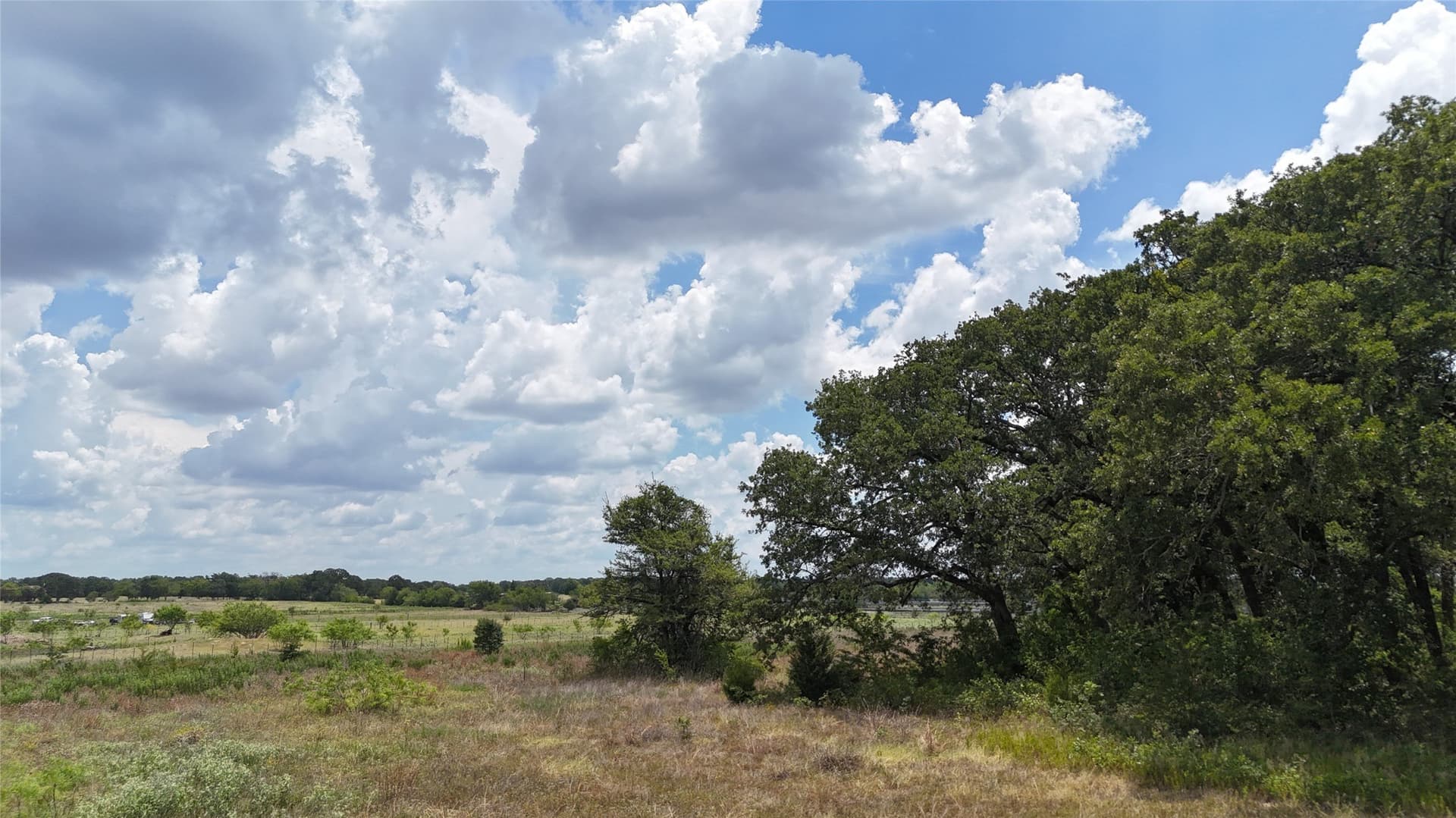 6.25 acres in Navarro County - photo 27