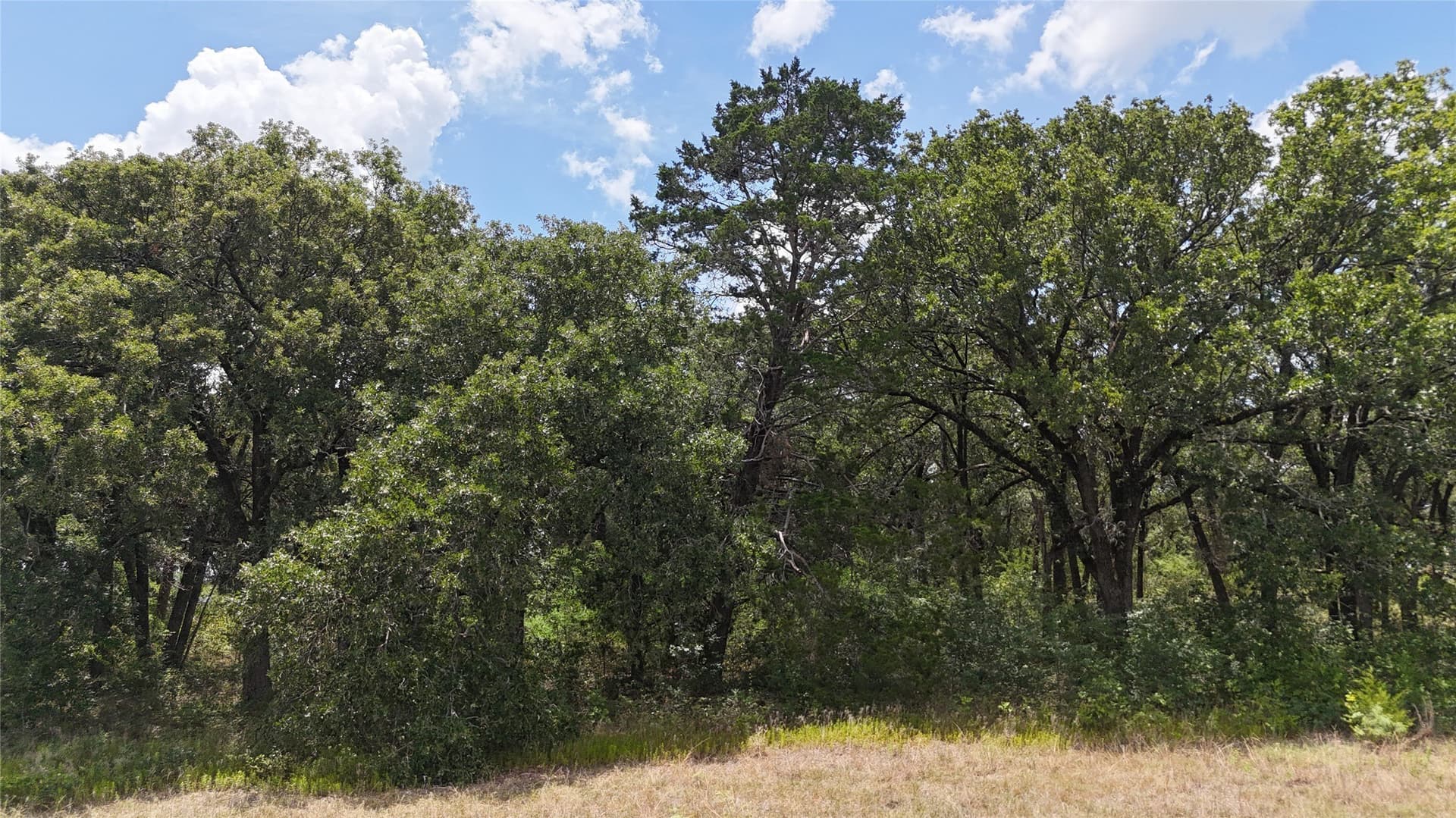 6.25 acres in Navarro County - photo 18