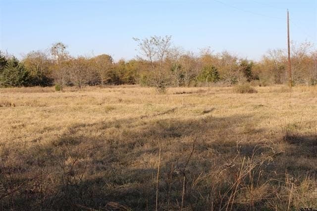 27.8 acres in Van Zandt County gallery image 3