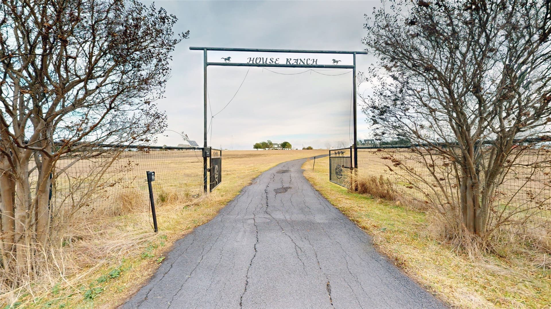 11 acres in Collin County - photo 23