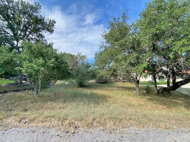 0.29 acres in Llano County - photo 10