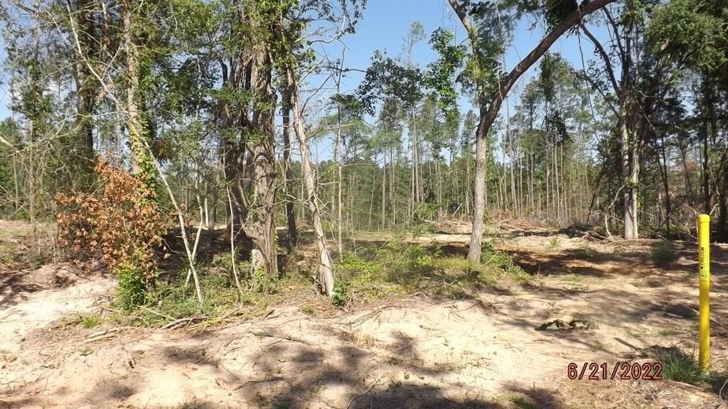 40.61 acres in ANDERSON County - photo 8