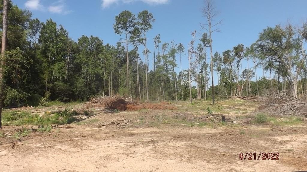 40.61 acres in ANDERSON County - photo 6