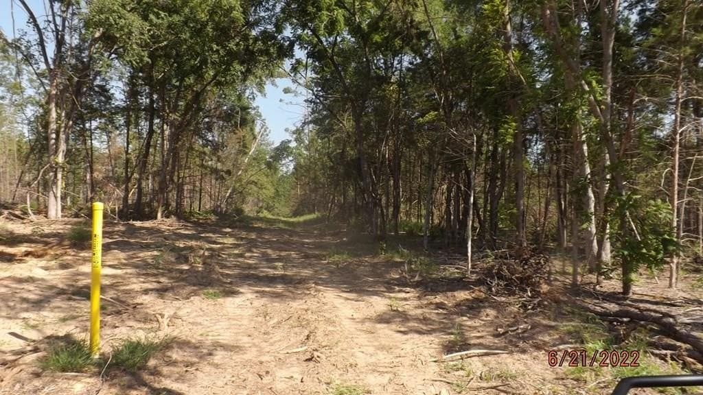 40.61 acres in ANDERSON County - photo 7