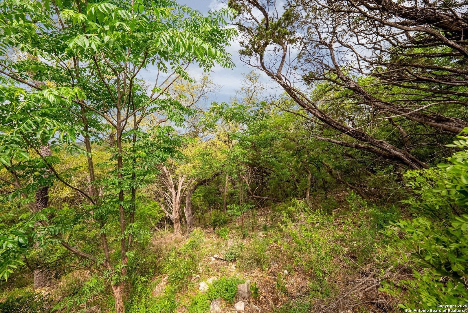 1.72 acres in Bexar County - photo 23