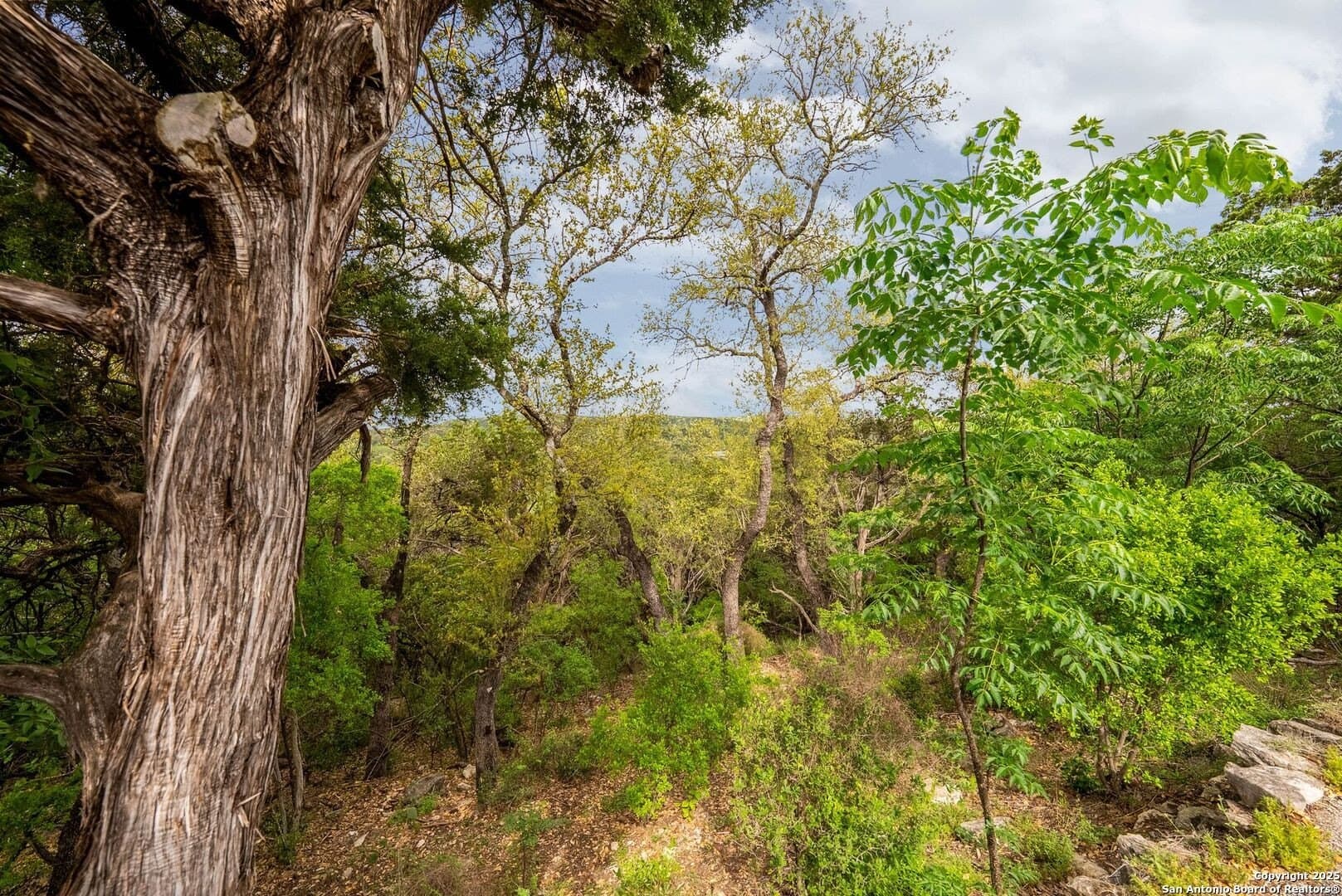 1.72 acres in Bexar County - photo 22