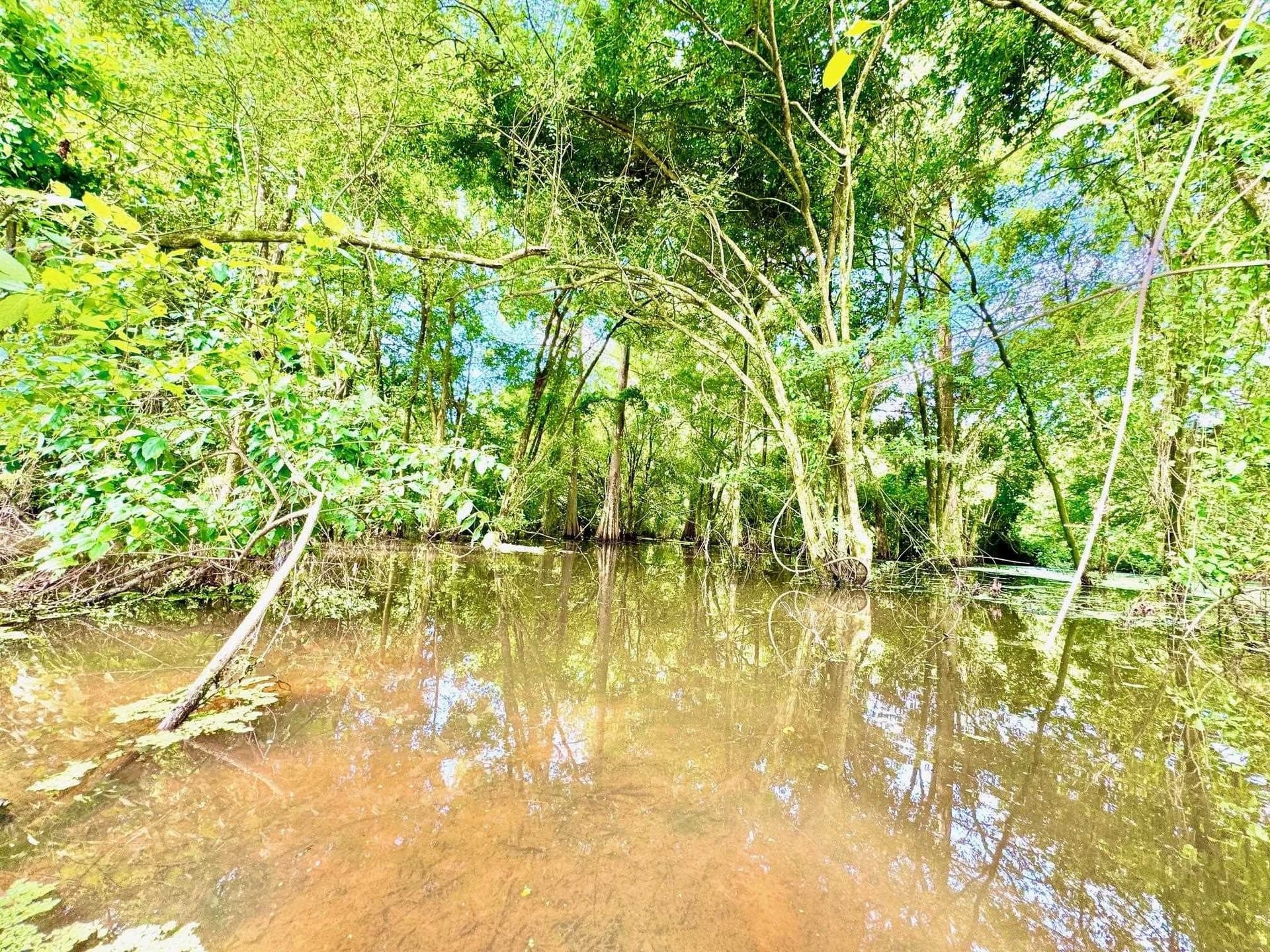 0.84 acres in Texas County - photo 6