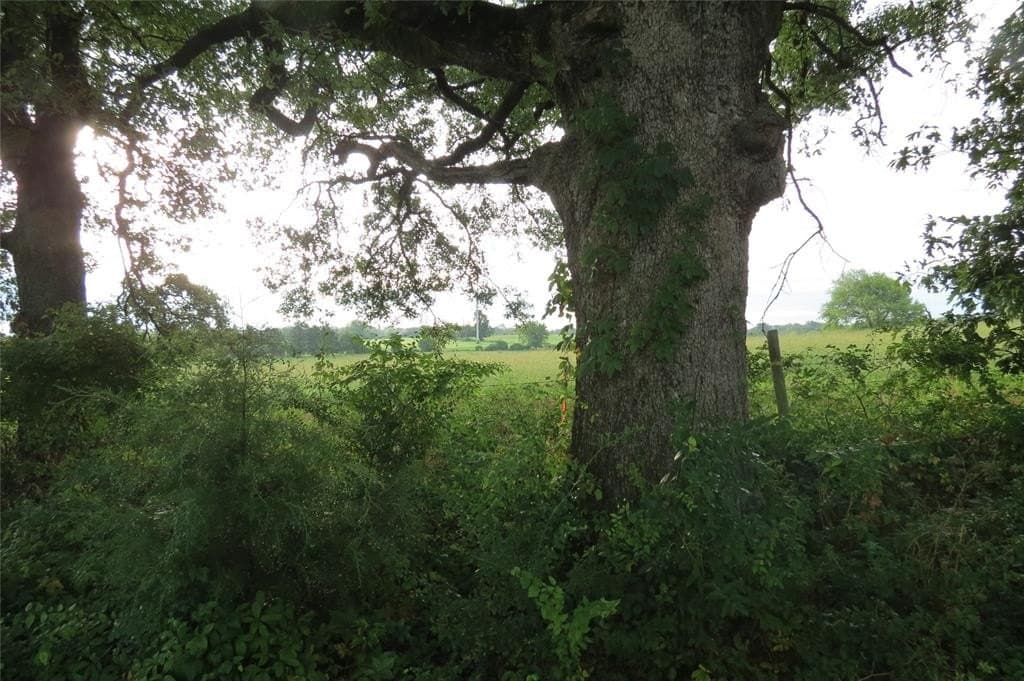 3.42 acres in Wood County featured view