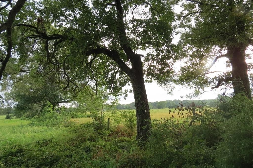 3.42 acres in Wood County gallery image 2