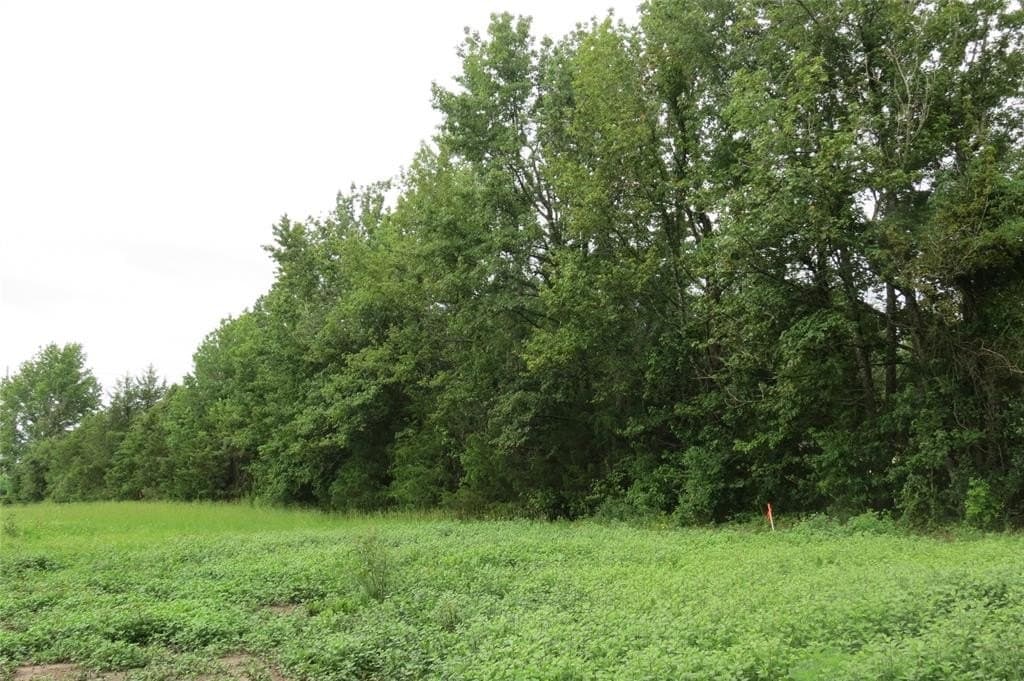 3.42 acres in Wood County gallery image 3