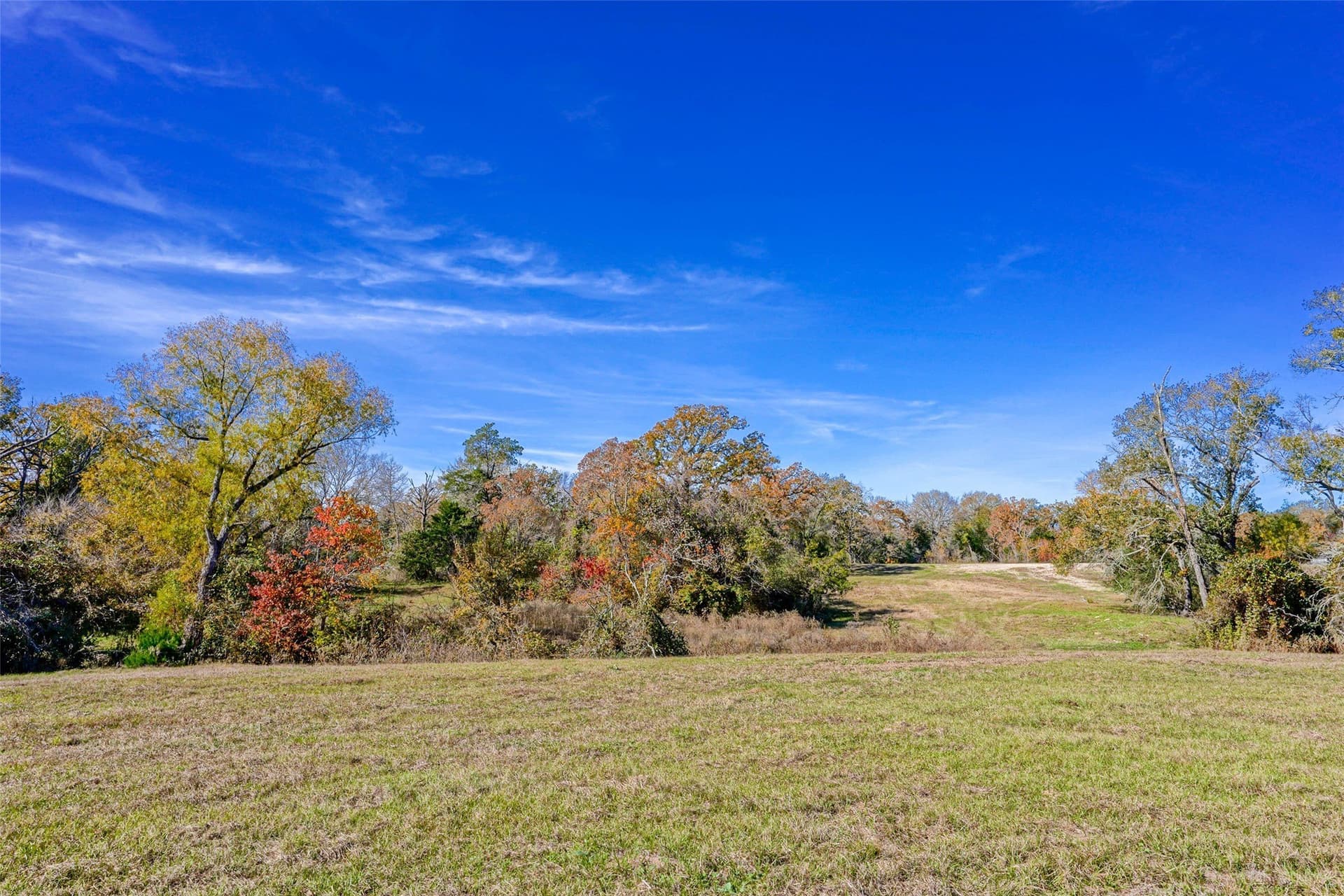 60.72 acres in Grimes County gallery image 4