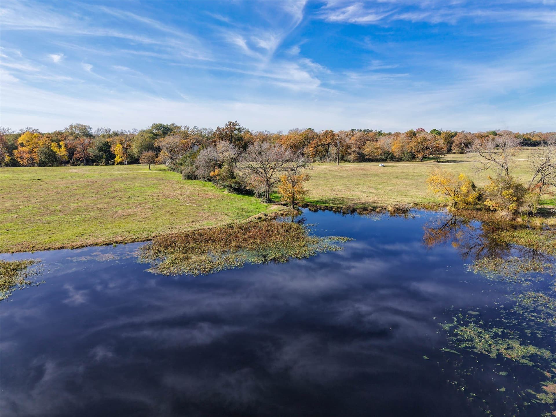 60.72 acres in Grimes County gallery image 3