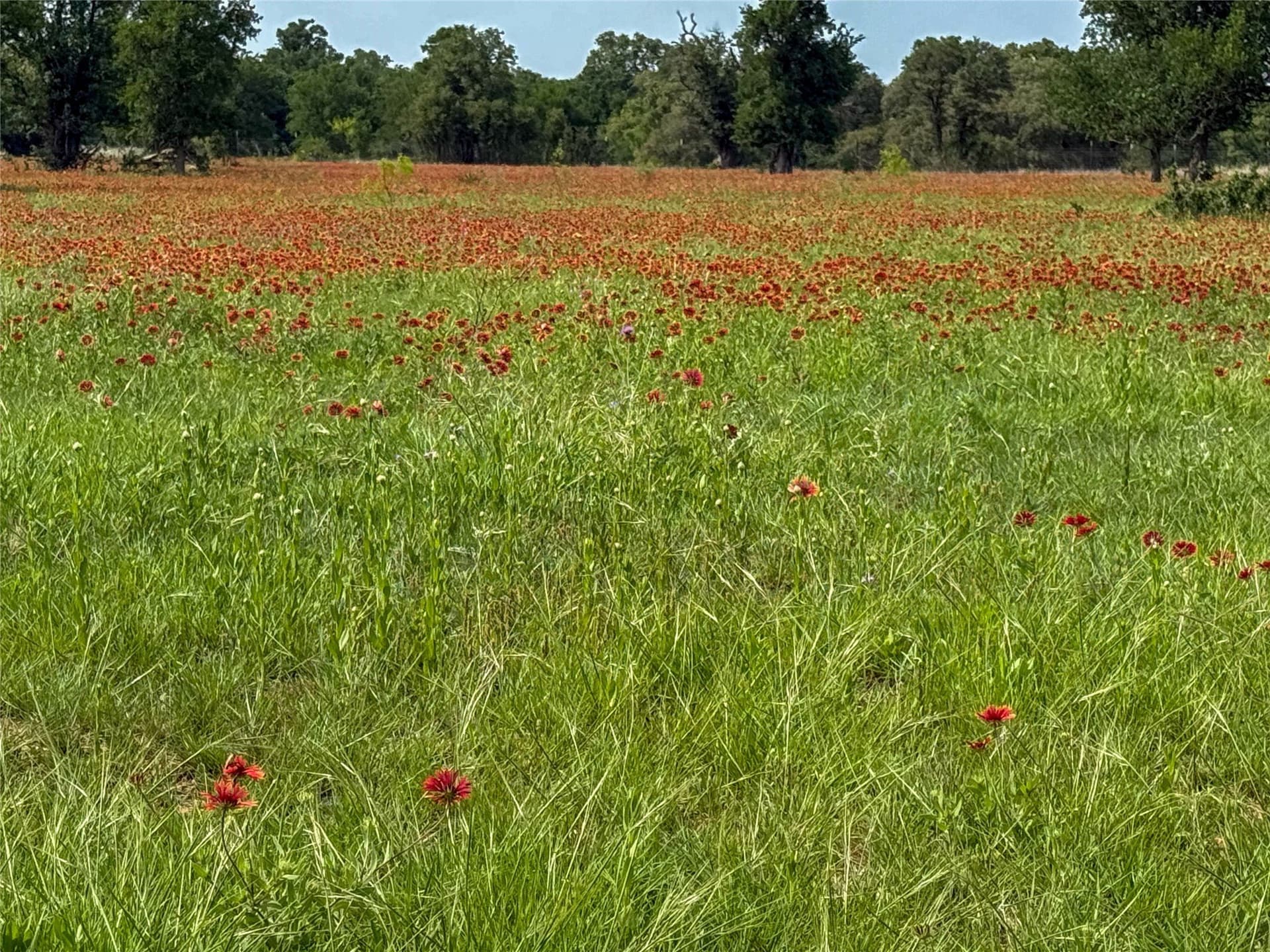 56.05 acres in Brown County - photo 5