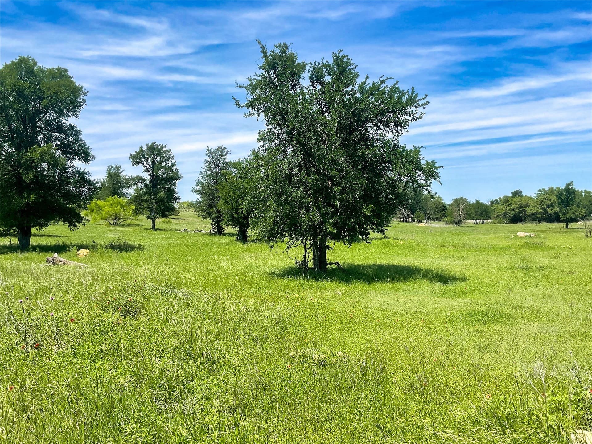 56.05 acres in Brown County - photo 15