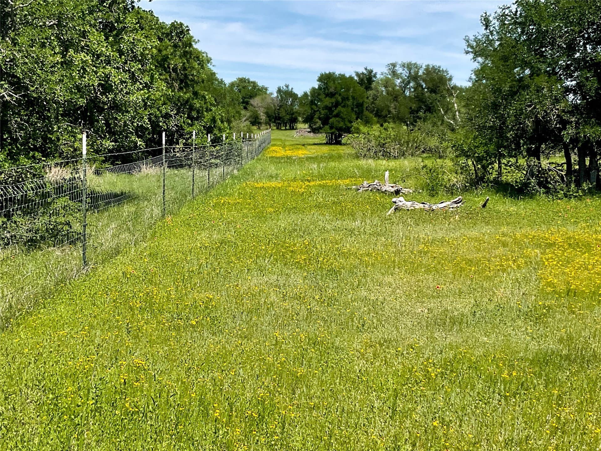56.05 acres in Brown County - photo 12