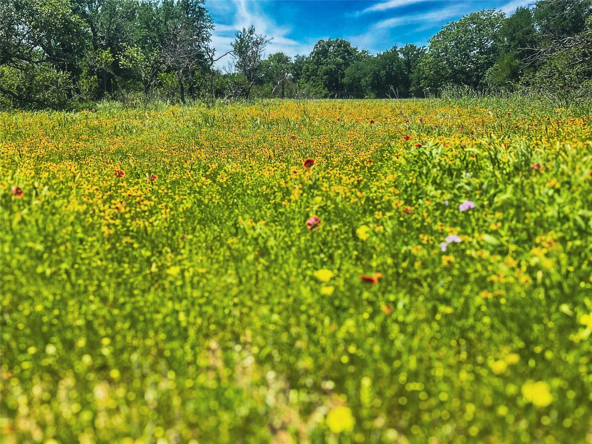 56.05 acres in Brown County - photo 11
