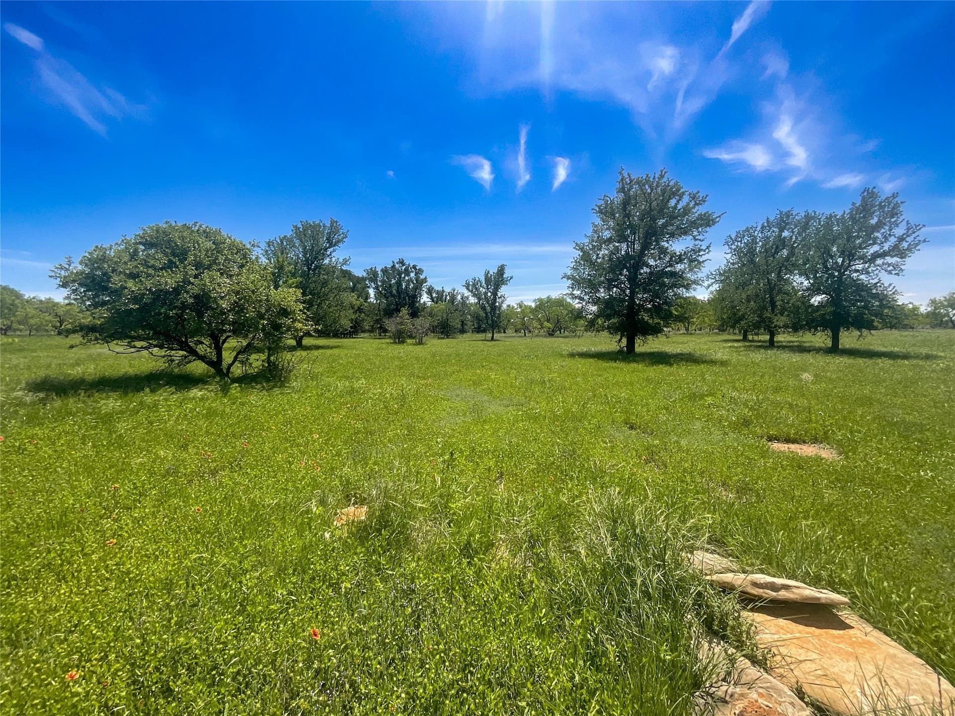 56.05 acres in Brown County - photo 3