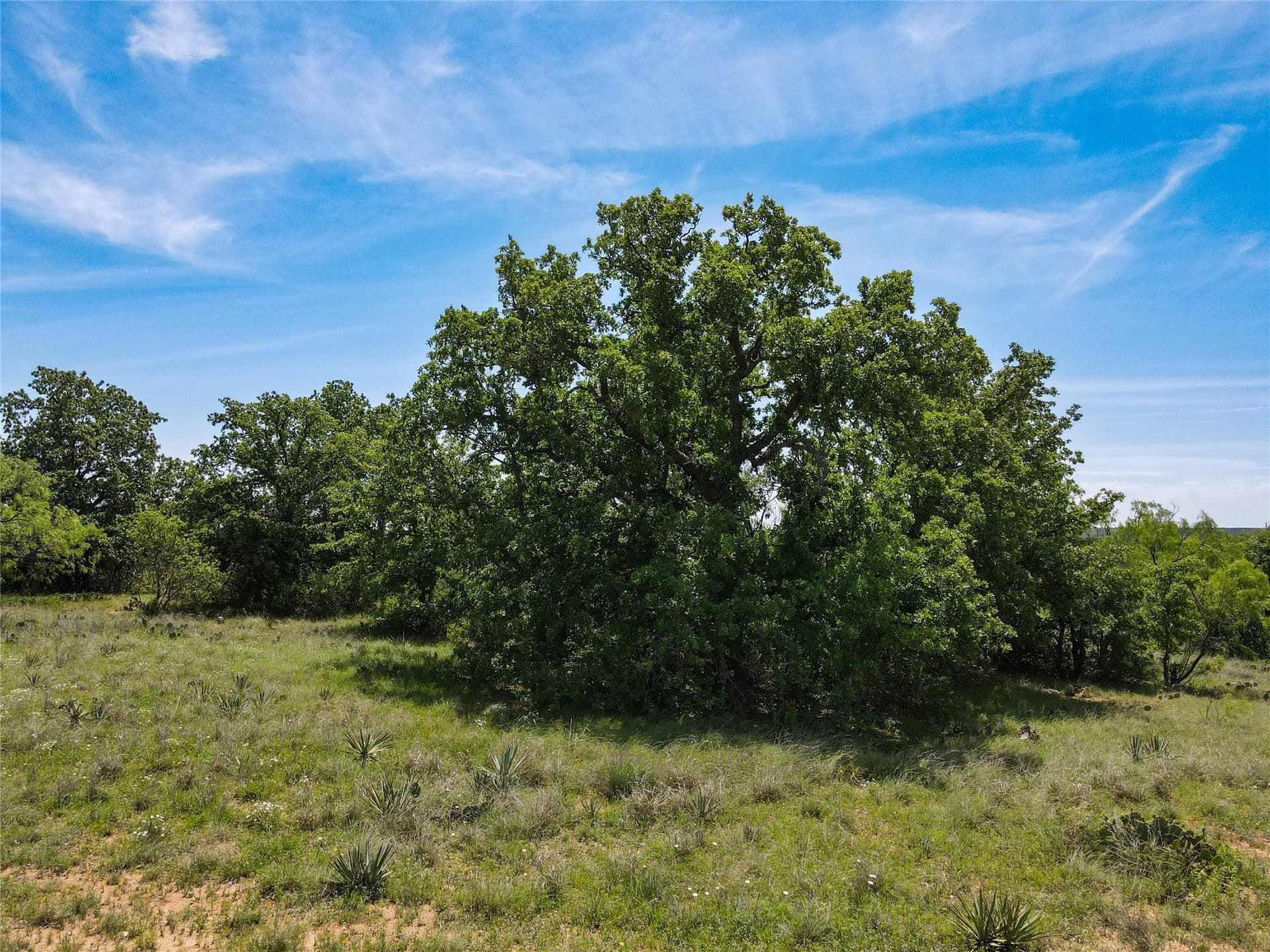 56.05 acres in Brown County - photo 22
