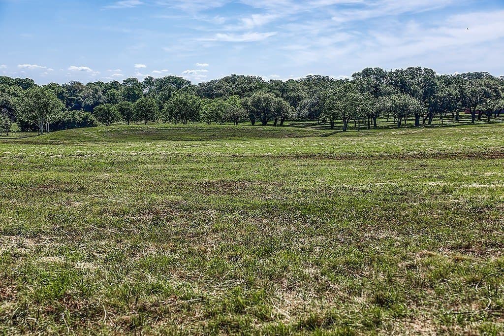 5 acres in Washington County - photo 11