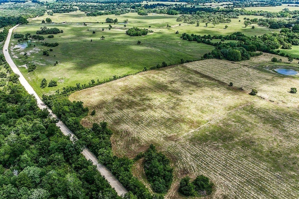 5 acres in Washington County gallery image 4